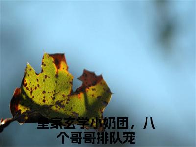 小霜宝钟离羽为皇家玄学小奶团，八个哥哥排队宠的小说叫什么-最新小说皇家玄学小奶团，八个哥哥排队宠全文阅读