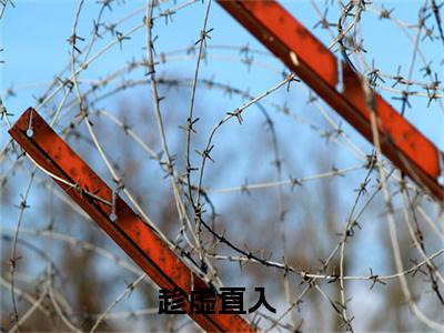 冯曳简行全文免费阅读_趁虚直入（冯曳简行）小说在线阅读最新章节列表笔趣阁