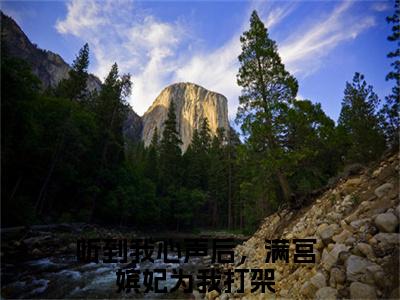 听到我心声后，满宫嫔妃为我打架全文免费阅读无弹窗大结局，柳蔓小说精彩免费试读