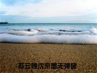 苏云晚沈京墨小说全文免费阅读（假千金全能无敌，各路大佬争着宠）全文免费阅读无弹窗大结局_苏云晚沈京墨最新章节列表