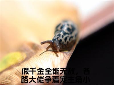 苏云晚沈京墨抖音假千金全能无敌，各路大佬争着宠小说阅读完结版-小说假千金全能无敌，各路大佬争着宠全文免费阅读