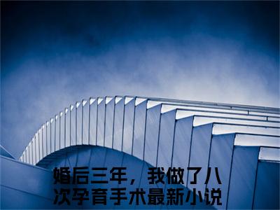 庄盈盈宋遇白（婚后三年，我做了八次孕育手术）全章节完整版免费小说_庄盈盈宋遇白最新章节在线阅读_笔趣阁