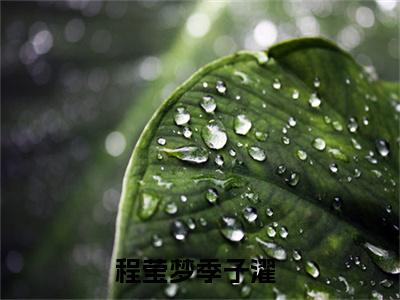 程莹梦季子濯小说（程莹梦季子濯）全文免费阅读无弹窗大结局_程莹梦季子濯小说无弹窗精彩阅读_笔趣阁