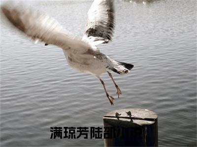 满琼芳陆邵小说（满琼芳陆邵）全文免费阅读无弹窗大结局_满琼芳陆邵小说最新章节列表_笔趣阁（满琼芳陆邵）