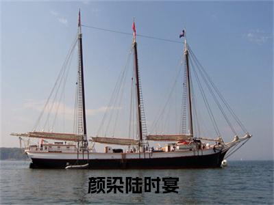 颜染陆时宴(颜染陆时宴)全文免费阅读无弹窗大结局_(颜染陆时宴免费阅读全文大结局)最新章节列表_笔趣阁（颜染陆时宴）