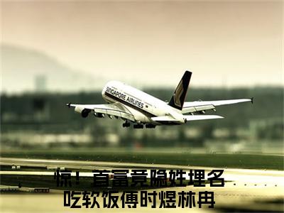 惊！首富竟隐姓埋名吃软饭（傅时煜林冉）小说免费下载全本-惊！首富竟隐姓埋名吃软饭（傅时煜林冉完整版）免费阅读