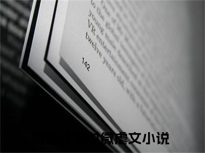 (番外)+(全文)霍琰行宋时微小说免费下载阅读_(霍琰行宋时微)霍琰行宋时微最新章节列表_笔趣阁（霍琰行宋时微）