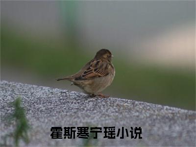 霍斯寒宁瑶阅读无弹窗大结局_（霍斯寒宁瑶阅读无弹窗）最新章节列表_笔趣阁（霍斯寒宁瑶）