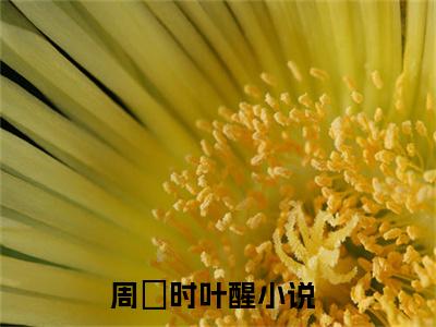 周璟时叶醒（周璟时叶醒小说）全文免费阅读无弹窗大结局_(周璟时叶醒小说)最新章节列表_笔趣阁（周璟时叶醒）