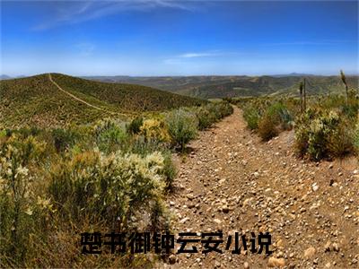 楚书御钟云安小说(楚书御钟云安)_全章节小说完整版阅读（楚书御钟云安）