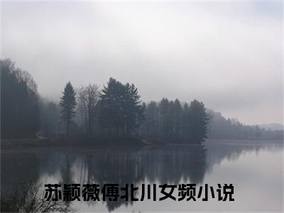 苏颖薇傅北川什么小说 苏颖薇傅北川全文免费阅读在线阅读