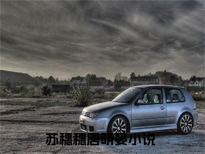苏穗穗唐明晏全文免费阅读(苏穗穗唐明晏)全文免费阅读无弹窗大结局_(苏穗穗唐明晏)苏穗穗唐明晏小说免费阅读无弹窗最新章节列表_笔趣阁(苏穗穗唐明晏)