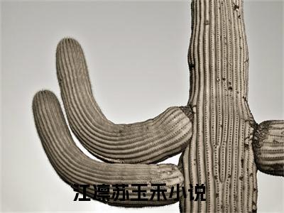 私藏读物江凛苏玉禾免费观看-抖音热门江凛苏玉禾(江凛苏玉禾)最新章节阅读