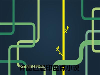 许嘉迟温印（许嘉迟温印）无广告免费阅读-小说许嘉迟温印最后结局如何