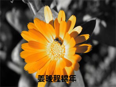 军婚：冷漠丈夫怎么成宠妻狂魔了多人推荐-好看的小说姜晚程锦年完整版免费阅读