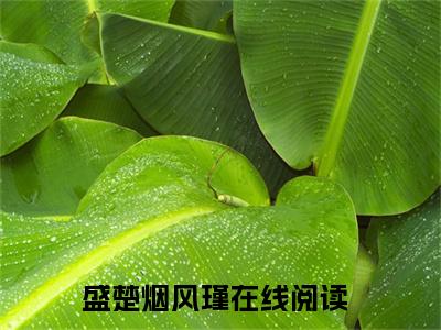 盛楚烟风瑾（盛楚烟风瑾）在线阅读大结局-盛楚烟风瑾小说最新章节阅读-笔趣阁