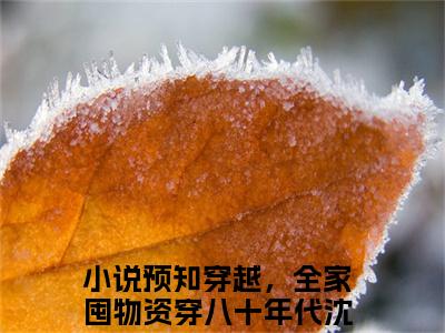 （预知穿越，全家囤物资穿八十年代沈梦瑶）是什么小说-预知穿越，全家囤物资穿八十年代沈梦瑶（预知穿越，全家囤物资穿八十年代沈梦瑶）免费阅读大结局最新章节列表_笔趣阁