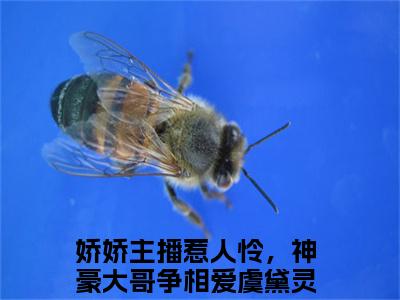 娇娇主播惹人怜，神豪大哥争相爱虞黛灵（娇娇主播惹人怜，神豪大哥争相爱虞黛灵）全文免费阅读无弹窗大结局_(娇娇主播惹人怜，神豪大哥争相爱虞黛灵免费阅读)最新章节列表_笔趣阁