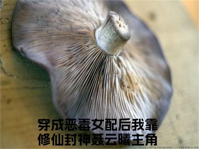 穿成恶毒女配后我靠修仙封神聂云曦全文(穿成恶毒女配后我靠修仙封神聂云曦)全文免费阅读无弹窗大结局_(穿成恶毒女配后我靠修仙封神聂云曦全文免费阅读全文大结局)穿成恶毒女配后我靠修仙封神聂云曦最新章节列表_笔趣阁（穿成恶毒女配后我靠修仙封神聂云曦全文）