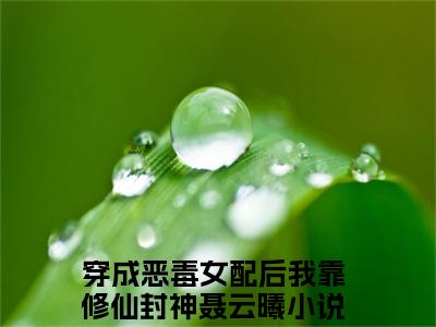 【新书】穿成恶毒女配后我靠修仙封神聂云曦全文全章节免费阅读-穿成恶毒女配后我靠修仙封神聂云曦小说免费阅读无弹窗最新章节列表