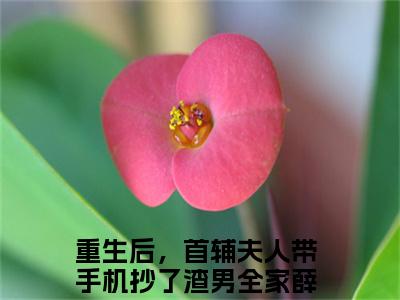 主角为重生后，首辅夫人带手机抄了渣男全家薛萱萱的小说全文完整版阅读