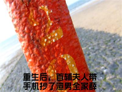 重生后，首辅夫人带手机抄了渣男全家薛萱萱全文免费阅读大结局_重生后，首辅夫人带手机抄了渣男全家薛萱萱已完结全集重生后，首辅夫人带手机抄了渣男全家薛萱萱大结局小说