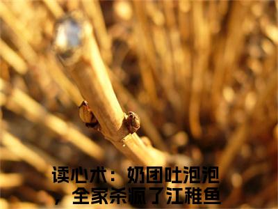 读心术：奶团吐泡泡，全家杀疯了江稚鱼小说（读心术：奶团吐泡泡，全家杀疯了江稚鱼）全文免费阅读无弹窗_读心术：奶团吐泡泡，全家杀疯了江稚鱼全文免费阅读无弹窗最新章节列表笔趣阁（读心术：奶团吐泡泡，全家杀疯了江稚鱼）