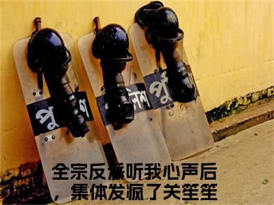 全宗反派听我心声后，集体发疯了关笙笙小说免费大结局全集免费阅读 全宗反派听我心声后，集体发疯了关笙笙章节目录