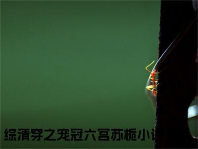 综清穿之宠冠六宫苏栀（综清穿之宠冠六宫苏栀）精彩小说-综清穿之宠冠六宫苏栀小说全文无删减版免费阅读