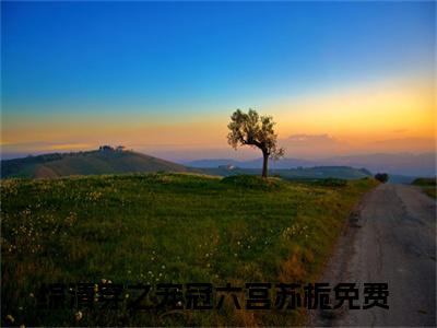 女生看的小说推荐综清穿之宠冠六宫苏栀-综清穿之宠冠六宫苏栀小说免费阅读