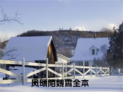 凤晴陌魏霄(凤晴陌魏霄)全文免费阅读无弹窗大结局_(凤晴陌魏霄免费阅读全文大结局)凤晴陌魏霄最新章节列表_笔趣阁（凤晴陌魏霄）