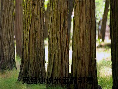 米云湄邹寒（米云湄邹寒）小说最新章节-米云湄邹寒全文免费阅读无弹窗大结局