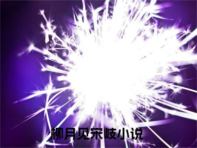 柳月见宋岐（柳月见宋岐）抖音热推小说全集无删减_（柳月见宋岐免费阅读）最新章节列表