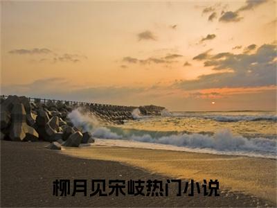 柳月见宋岐全文免费阅读（柳月见宋岐）全文免费阅读无弹窗大结局_柳月见宋岐全文免费阅读最新章节列表_笔趣阁
