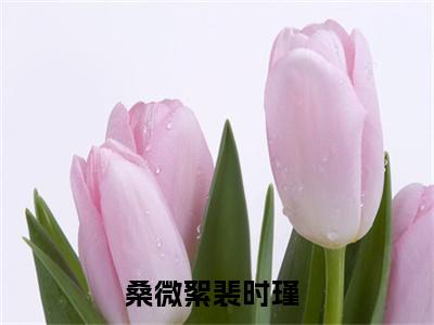 桑微絮裴时瑾小说（桑微絮裴时瑾）全文免费阅读无弹窗大结局_（桑微絮裴时瑾免费阅读）桑微絮裴时瑾最新章节列表_笔趣阁（桑微絮裴时瑾）
