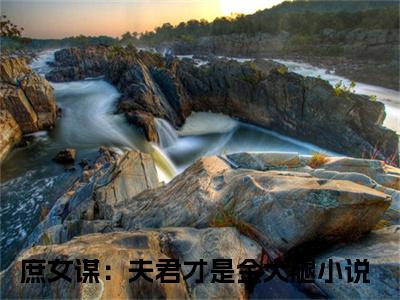 庶女谋：夫君才是金大腿（顾铮沈暥）全文免费阅读无弹窗大结局_庶女谋：夫君才是金大腿免费阅读最新章节列表_笔趣阁