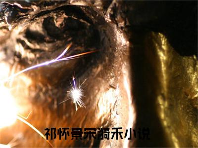 祁怀景宋漪禾（祁怀景宋漪禾）精选小说大结局阅读-抖音新书热荐祁怀景宋漪禾