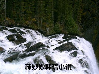 林妙妙韩琛正版小说最新章节在线阅读-（林妙妙韩琛）全文无弹窗阅读