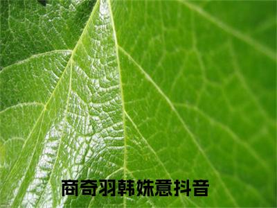 商奇羽韩姝意（商奇羽韩姝意）小说大结局全文免费阅读-商奇羽韩姝意抖音小说