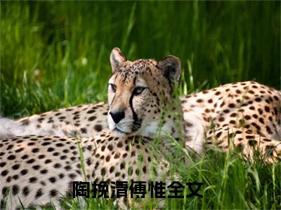 陶挽清傅惟（陶挽清傅惟）全文免费阅读无弹窗_陶挽清傅惟最新小说_笔趣阁（陶挽清傅惟）