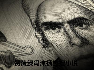 全网热搜（贺薇绿冯沐扬）是什么小说，贺薇绿冯沐扬免费阅读无弹窗