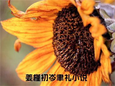 姜槿初岑聿礼(姜槿初岑聿礼)全文免费阅读无弹窗大结局_(姜槿初岑聿礼)免费阅读无弹窗最新章节列表