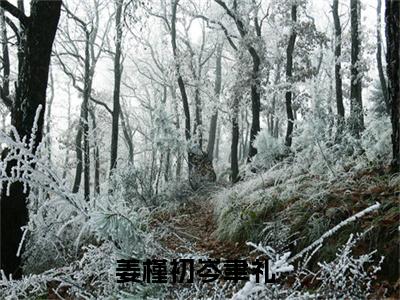 姜槿初岑聿礼最新完结免费阅读-姜槿初岑聿礼悬疑小说在线阅读