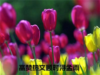 顾时浔孟雨小说(顾时浔孟雨)全文免费阅读无弹窗大结局_(顾时浔孟雨小说免费阅读)顾时浔孟雨无弹窗最新章节列表_笔趣阁（顾时浔孟雨）