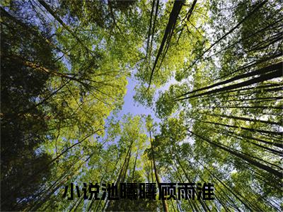 池曦曦顾雨淮（池曦曦顾雨淮）全文免费阅读无弹窗_池曦曦顾雨淮小说最新章节列表无删减_笔趣阁