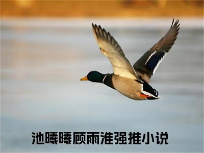 池曦曦顾雨淮小说（池曦曦顾雨淮）全文免费阅读无弹窗_池曦曦顾雨淮高赞小说免费阅读笔趣阁