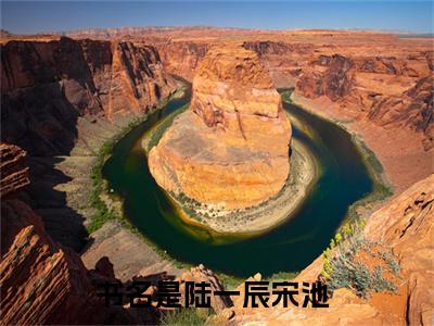 陆一辰宋池（陆一辰宋池）小说大结局全文免费阅读-陆一辰宋池抖音小说