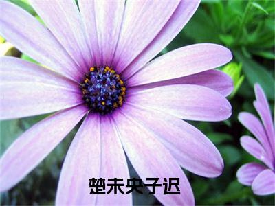 楚未央子迟全文(楚未央子迟)全文免费阅读无弹窗大结局_(楚未央子迟全文免费阅读全文大结局)楚未央子迟最新章节列表_笔趣阁（楚未央子迟全文）