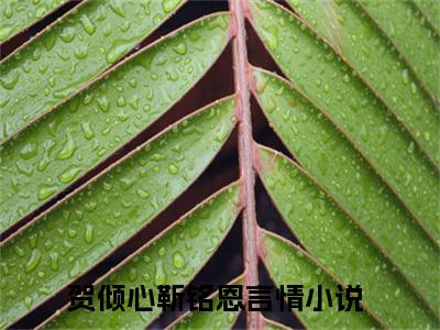 贺倾心靳铭恩（贺倾心靳铭恩）全文免费阅读无弹窗大结局_贺倾心靳铭恩全文阅读最新章节列表_笔趣阁（贺倾心靳铭恩）