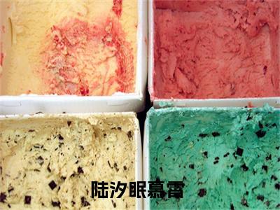 陆汐眠慕霄小说全文（陆汐眠慕霄）全文免费阅读无弹窗大结局_陆汐眠慕霄小说全文最新章节列表_笔趣阁